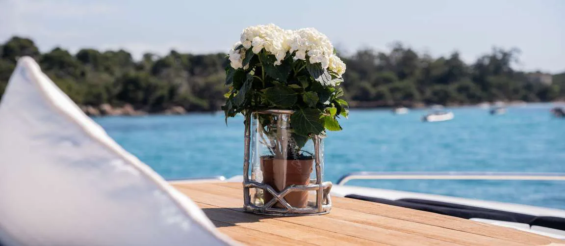Palumba - photo 15 yacht charter Mykonos