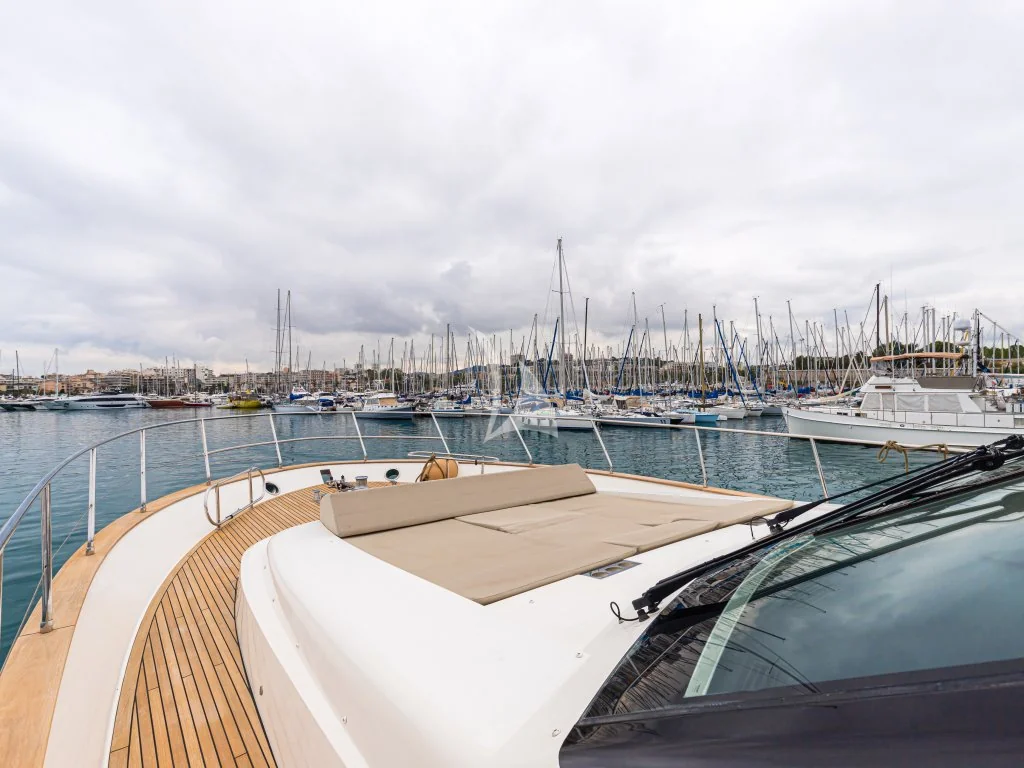 Passion - photo 10 yacht charter Mykonos